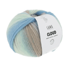 Lang Cloud | Yarn at Michigan Fine Yarns