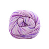 Cascade Yarns Heritage Prints | Yarn at Michigan Fine Yarns