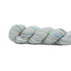 Koigu Koigu KPPPM (1 of 2) | Yarn at Michigan Fine Yarns