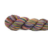 Koigu Koigu KPPPM (1 of 2) | Yarn at Michigan Fine Yarns