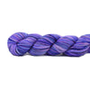 Koigu Koigu KPPPM (1 of 2) | Yarn at Michigan Fine Yarns