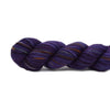 Koigu Koigu KPPPM (1 of 2) | Yarn at Michigan Fine Yarns