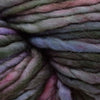 Malabrigo Rasta | Yarn at Michigan Fine Yarns