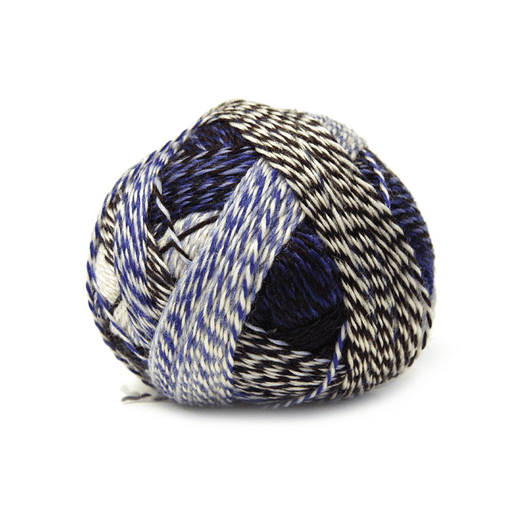 Schoppel Wolle Zauberball Stärke 6 | Yarn at Michigan Fine Yarns