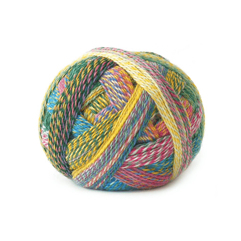 Schoppel Wolle Zauberball Stärke 6 | Yarn at Michigan Fine Yarns
