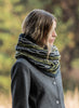 Blue Sky Fibers Chain of Lakes Cowl Kit - | Kits at Michigan Fine Yarns