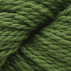 Blue Sky Fibers Santa Cruz Wrap Kit -233 - Pickle (Original) 71474218 | Kits at Michigan Fine Yarns