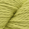 Blue Sky Fibers Temecula Cowl Kit -207 - Lemongrass 10589482 | Kits at Michigan Fine Yarns