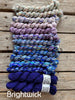 Koigu Astria Shawl Pack -Brightwick 07924266 | Kits at Michigan Fine Yarns