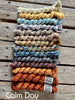 Koigu Astria Shawl Pack -Calm Day 07957034 | Kits at Michigan Fine Yarns