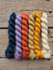 Koigu Peerie Hat Kit -Harvest 94500394 | Kits at Michigan Fine Yarns