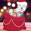 Michigan Fine Yarns Santa's Mystery Stash - A - Acrylic Builder Sampler 26731818 | Kits at Michigan Fine Yarns