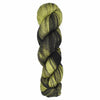 Araucania Huasco Sock Twilight Paints - 5009 - Brimstone | Yarn at Michigan Fine Yarns