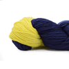 Bibi Yarn Bibi DK Sock - Ann Arbor Road  | Yarn at Michigan Fine Yarns