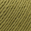 Brown Sheep Company Lamb's Pride Worsted - M171 - Fresh Moss 759552000050 | Yarn at Michigan Fine Yarns