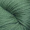 Cascade Yarns 220 Superwash Aran - 291 - Dark Ivy | Yarn at Michigan Fine Yarns