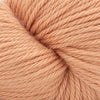 Cascade Yarns 220 Superwash Aran - 304 - Peach Cobbler | Yarn at Michigan Fine Yarns