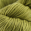 Cascade Yarns 220 Superwash Aran - 316 - Moss | Yarn at Michigan Fine Yarns