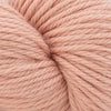 Cascade Yarns 220 Superwash Aran - 331 - Soft Rose | Yarn at Michigan Fine Yarns
