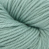 Cascade Yarns 220 Superwash Aran - 409 - Lily Pad  | Yarn at Michigan Fine Yarns