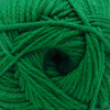 Cascade Yarns 220 Superwash Merino - 113 - Jolly Green 886904066621 | Yarn at Michigan Fine Yarns