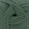 Cascade Yarns 220 Superwash Merino - 126 - Lily Pad 886904068441 | Yarn at Michigan Fine Yarns
