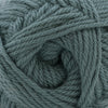 Cascade Yarns 220 Superwash Merino - 136 - Silver Pine 886904076439 | Yarn at Michigan Fine Yarns
