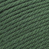 Cascade Yarns 220 Superwash Merino - 16 - Verdant Green 886904046692 | Yarn at Michigan Fine Yarns