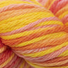 Cascade Yarns 220 Superwash Sport Multis - 106 - Citrus 886904030066 | Yarn at Michigan Fine Yarns