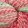 Cascade Yarns 220 Superwash Wave - 129 - Holly | Yarn at Michigan Fine Yarns