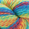 Cascade Yarns 220 Superwash Wave - 131 - Spectrum | Yarn at Michigan Fine Yarns