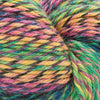 Cascade Yarns 220 Superwash Wave - 132 - Electric | Yarn at Michigan Fine Yarns