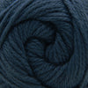 Cascade Yarns Cherub Aran - 115 - Bering Sea  | Yarn at Michigan Fine Yarns