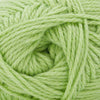 Cascade Yarns Cherub Aran - 136 - Opaline Green  | Yarn at Michigan Fine Yarns
