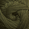 Cascade Yarns Cherub Aran - 60 - Fir Green  | Yarn at Michigan Fine Yarns