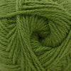 Cascade Yarns Cherub Aran - 95 - Kelp  | Yarn at Michigan Fine Yarns