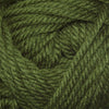 Cascade Yarns Cherub Chunky - 36 - Cactus  | Yarn at Michigan Fine Yarns