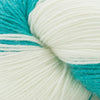 Cascade Yarns Heritage Tie Dye - 305 - Mint Leaf | Yarn at Michigan Fine Yarns