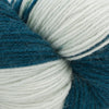 Cascade Yarns Heritage Tie Dye - 312 - Bluesteel | Yarn at Michigan Fine Yarns