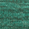 Cascade Yarns Pacific Bulky Effects - 505 - Sea Green  | Yarn at Michigan Fine Yarns