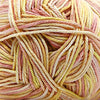 Cascade Yarns Pandamonium Multis - 402 - Citrus | Yarn at Michigan Fine Yarns