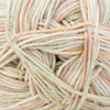 Cascade Yarns Pandamonium Multis - 412 - Cacti | Yarn at Michigan Fine Yarns