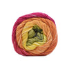 Juniper Moon Farm Cumulus Rainbow -223 - Solar Flare 840373404780 | Yarn at Michigan Fine Yarns