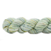 Koigu Koigu KPPPM (1 of 2) -Flower  | Yarn at Michigan Fine Yarns