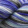 Koigu Koigu KPPPM (1 of 2) -P924-0010  | Yarn at Michigan Fine Yarns