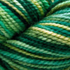 Koigu Koigu KPPPM (1 of 2) -P940  | Yarn at Michigan Fine Yarns