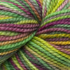 Koigu Koigu KPPPM (1 of 2) -P998  | Yarn at Michigan Fine Yarns