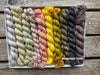 Koigu Koigu KPPPM Pencil Box Sets - Modernist (LYS Day 2025) | Yarn at Michigan Fine Yarns