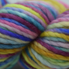 Koigu Othello Merino - 57  | Yarn at Michigan Fine Yarns