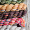 Koigu Paint Cans -Granola | Yarn at Michigan Fine Yarns